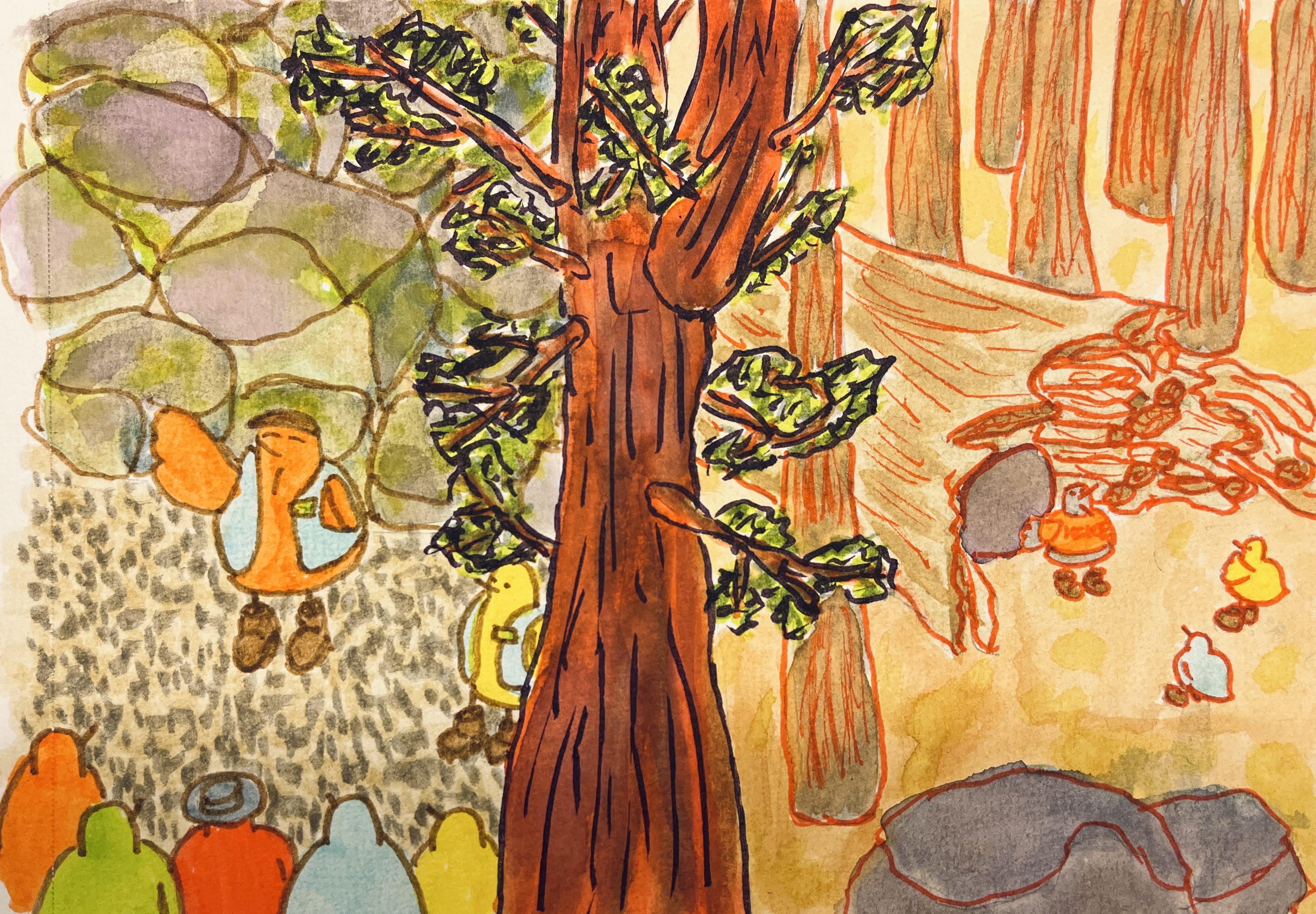 Interpretive Hikes